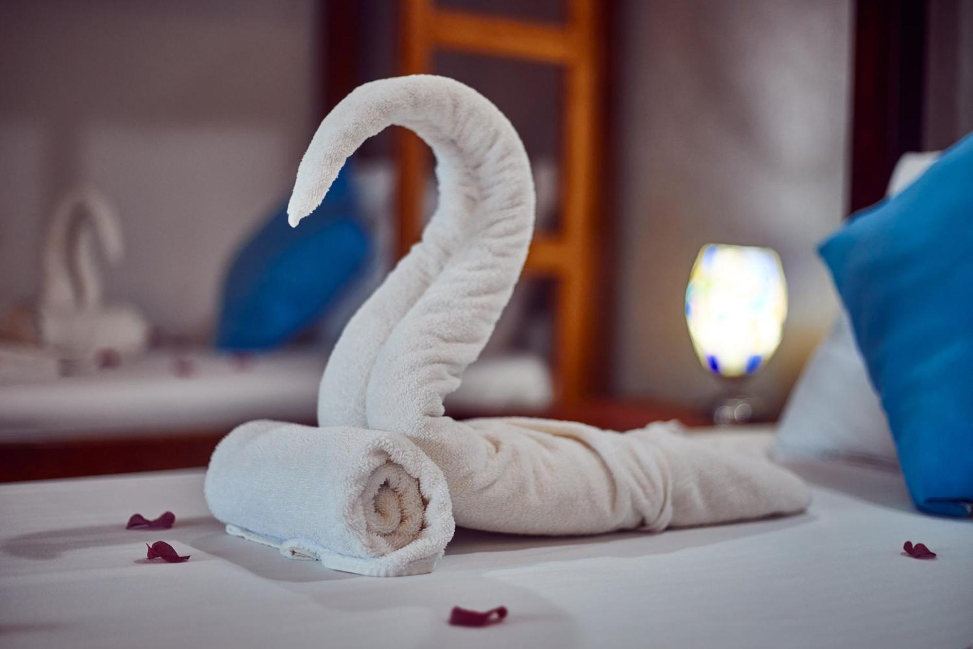 Emerald Dreams Boutique Hotel Michamvi Dış mekan fotoğraf